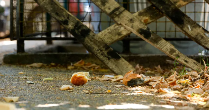 Smeće i komunalije/Damir Deljo