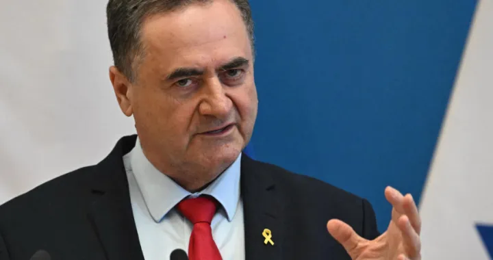 Israel Katz/Screenshot/ X/