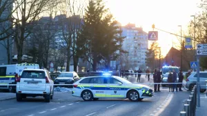 Ubistvo, Ljubljana, policija, slovenačka policija, ubijeni muškarac prijetio prolaznicima nožem/Damjan Žibert