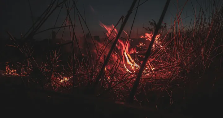 Ilustracija/ Pexels/