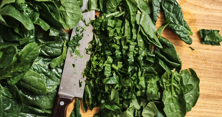 Bit će kao iz restorana/Free Pik