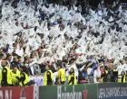 Navijači Real Madrida/Foto: 
