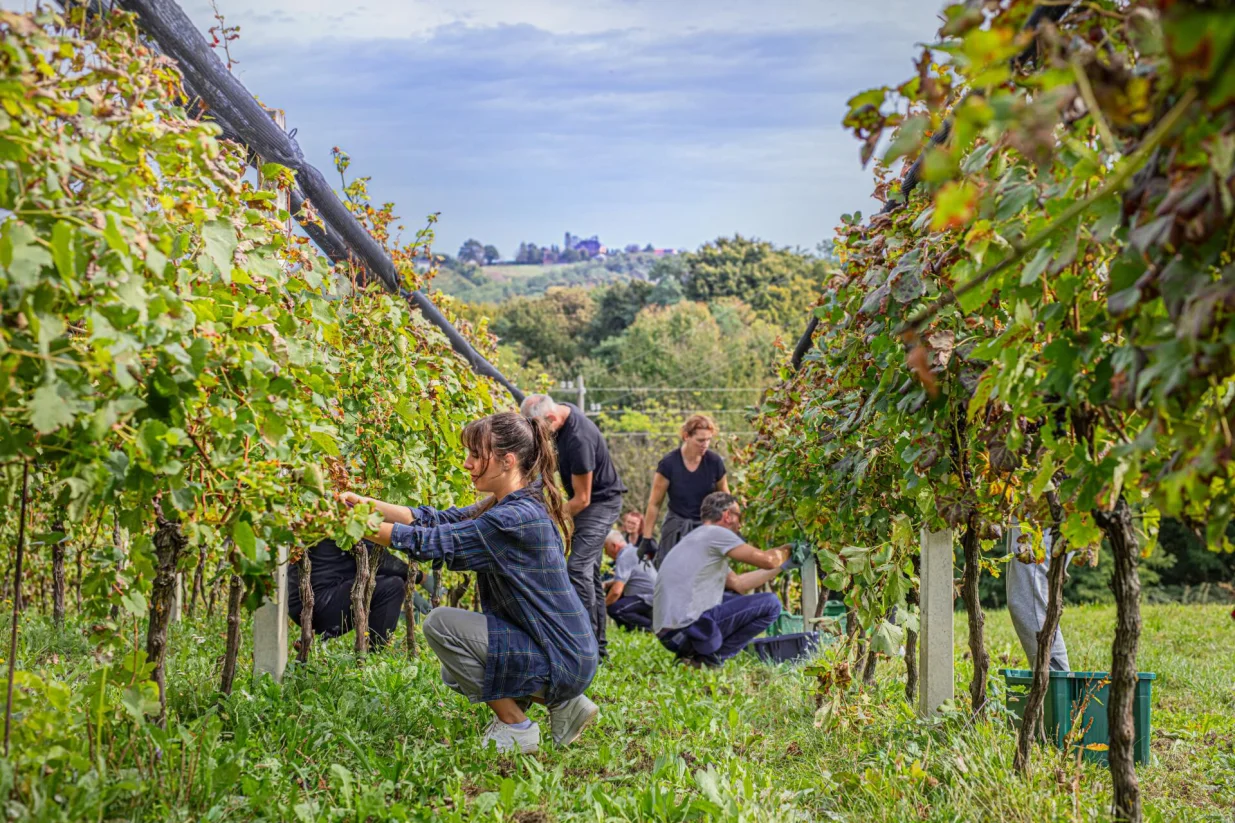 Oznaka Local Host dodjeljuje se domaćinima koji gostima nude vi&scaron;e od ključa apartmana/
