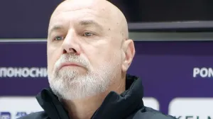 Sergej Barbarez/Foto: 