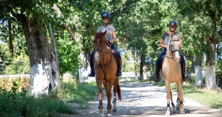 Dragoslav Ulić Dag/Promo