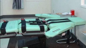 Bit će pogubljen du&scaron;ikovim plinom/Ilustracija/X.com//