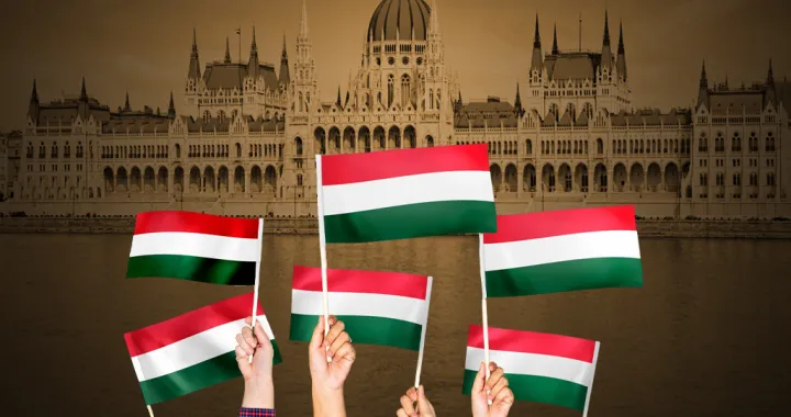 Kolumna: Mađarska i budućnost EU/Ilustracija/Benjamin Krnić
