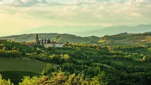 Brda su odlična destinacija za sve one koji traže sklad između prirode, kulture, kuhinje i aktivnih avantura/Promo