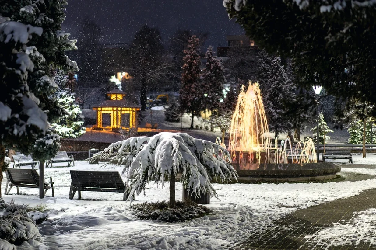Savo Tufegdžić/Promo