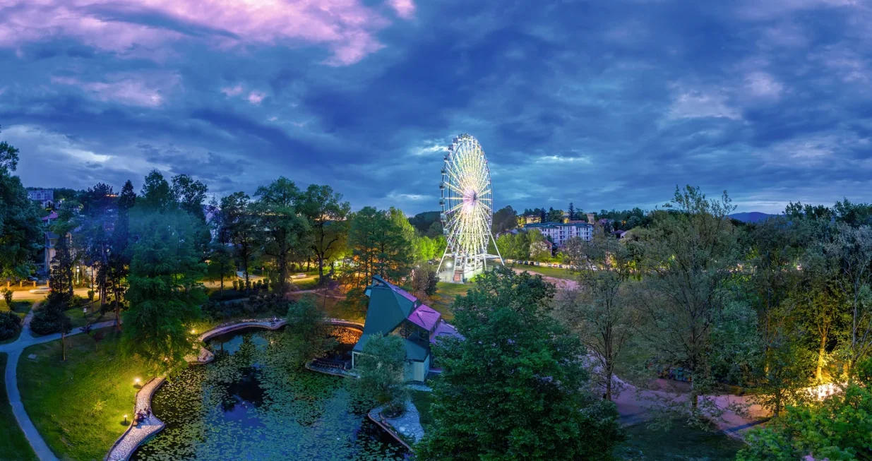 Savo Tufegdžić/Promo