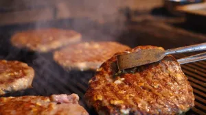 pljeskavica, pljeskavice, šnicle, meso, roštilj/