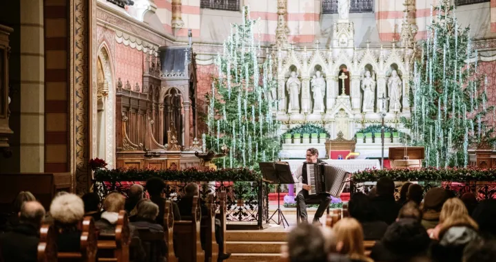 Nihad Hrustanbegović katedrala/