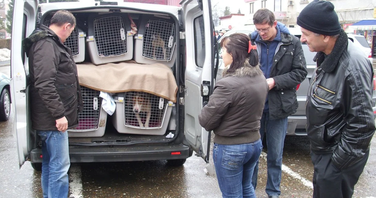 Foto: Milan Pilipović/ Nezavisne/
