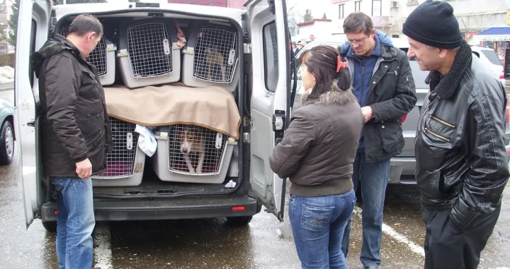 Foto: Milan Pilipović/ Nezavisne/