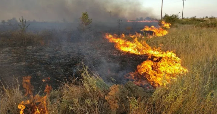 Požar, paljenje korova, korov, njiva, vatra, trava, poljoprivreda/Pixabay