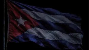 Ilustracija/ Screenshot/ X/