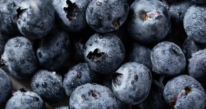 Stručnjaci konačno odgovorili/Free Pik