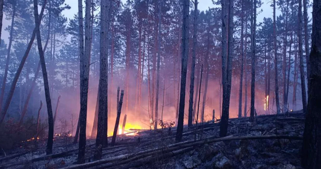 Na terenu vatrogasci/DVD Ljuti Dolac//