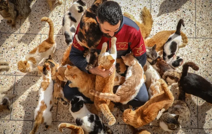 Pronalaze i liječe životinje povrijeđene u zemljotresima u Siriji/Anadolija/