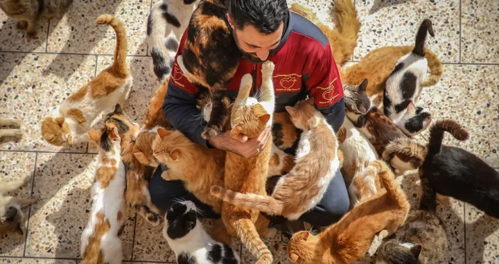 Pronalaze i liječe životinje povrijeđene u zemljotresima u Siriji/Anadolija/