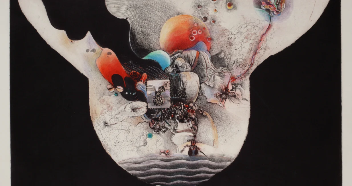 "Metamorfoza jednog sna", 1972./