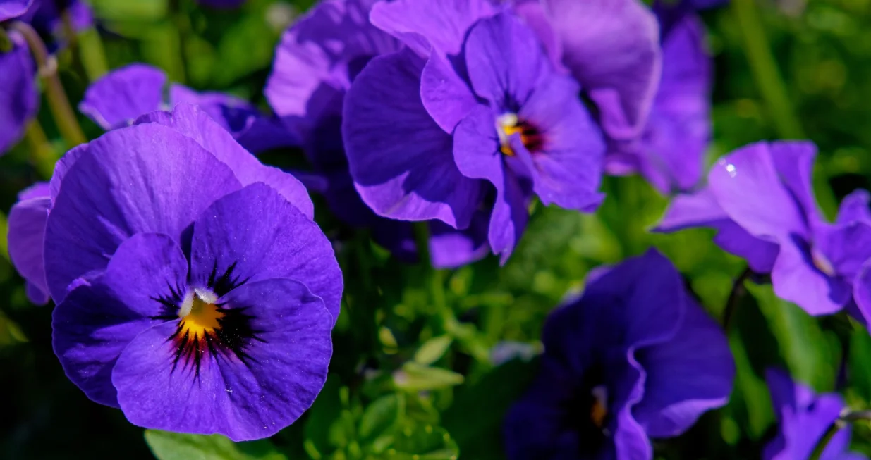 Topla boja u hladnim danima/Free Pik