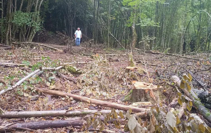Pojačana za&scaron;tita &scaron;uma u USK/