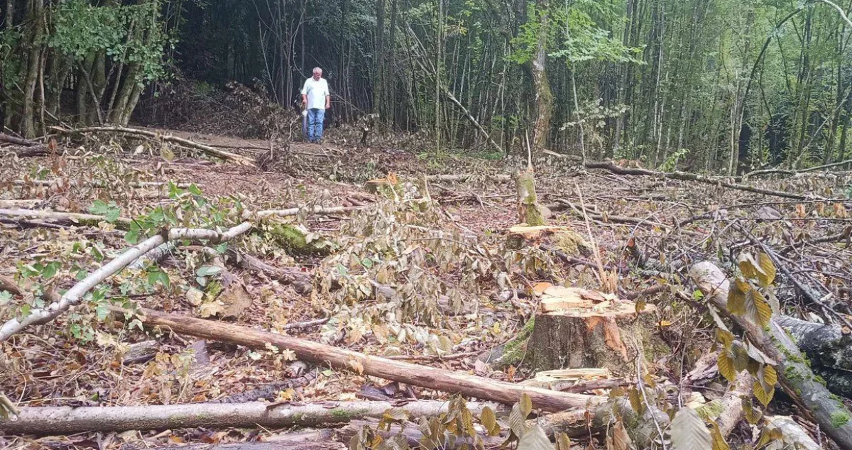 Pojačana za&scaron;tita &scaron;uma u USK/