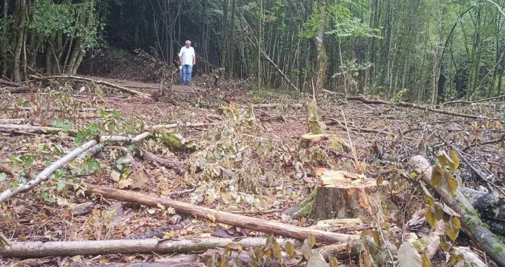 Pojačana za&scaron;tita &scaron;uma u USK/