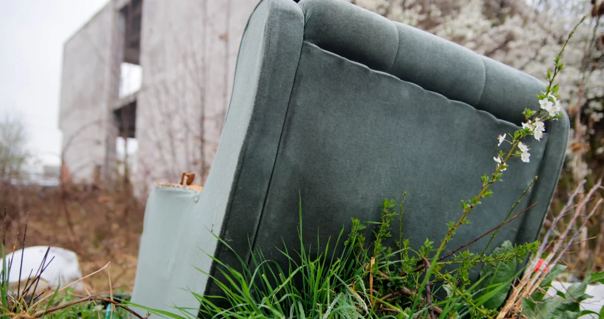 Probeharalo drveće i smeće po gradu/Damir Deljo