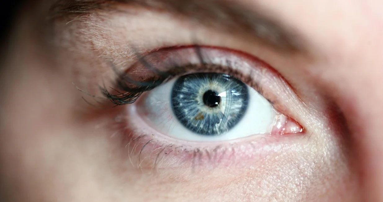 Plavo oko/Alexandergrey