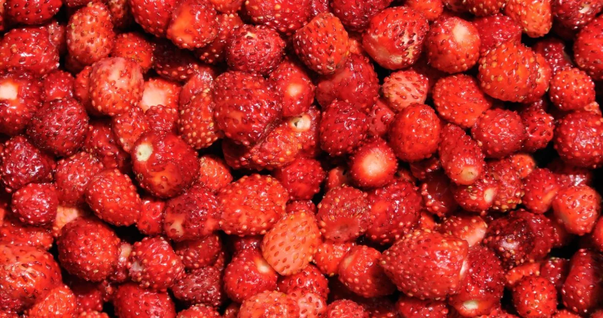 Neodoljive ali preskupe/