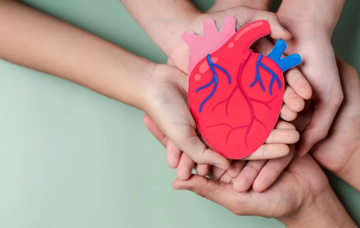 Ovaj vitamin je ključan za zdravlje srca, prema kardiolozima/ Canva/Amir9937