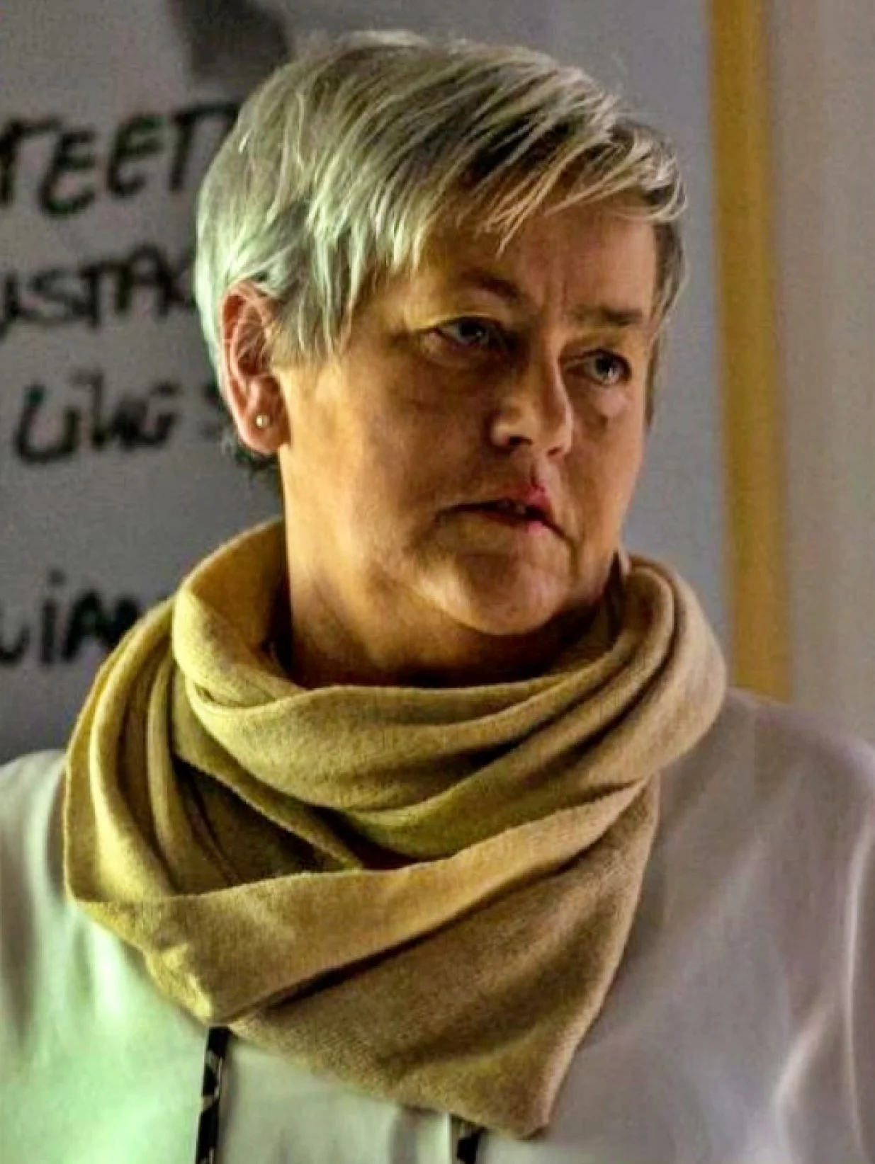 Vildana Alibabić/