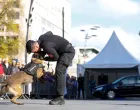 prezentacijs vje&scaron;tina K9 jedinica iz BiH/Damir Deljo