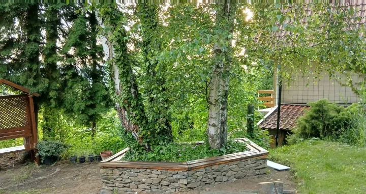 Pokrivena vrtna ljubavna klupa i klupe okolo grupe breza/