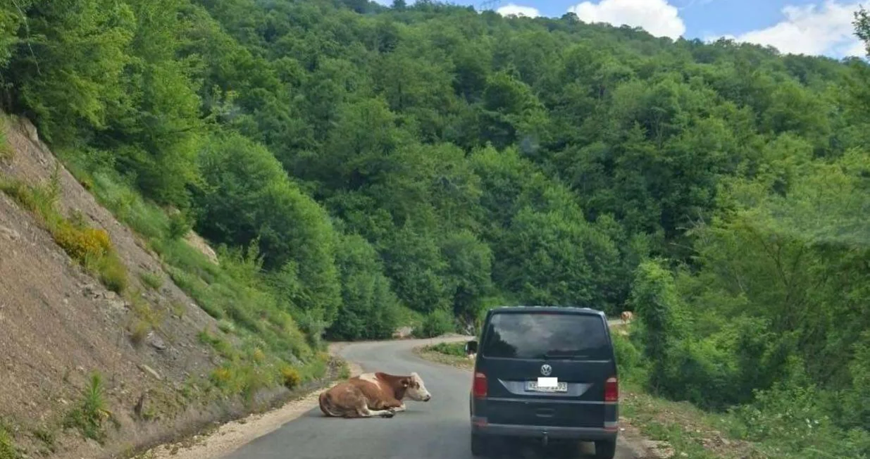 Putevi istočna Hercegovina/