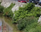Uređenje korita rijeke Miljacke &scaron;i&scaron;anje trave korova/Senad Gubelić