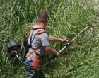 Uređenje korita rijeke Miljacke &scaron;i&scaron;anje trave korova/Senad Gubelić