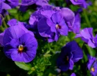 Topla boja u hladnim danima/Free Pik