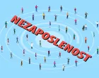 Jasmin Halebić: Brinite o zaposlenosti, a ne o budžetu/Benjamin Krnić