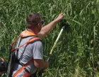 Uređenje korita rijeke Miljacke &scaron;i&scaron;anje trave korova/Senad Gubelić