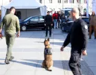 Prezentacija K9 jedinica iz BiH/Damir Deljo