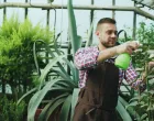 biljke i ljeto/Pexels