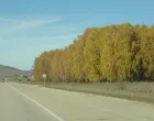 Cesta ka Livnu utemeljena jo&scaron; od Rimljana/