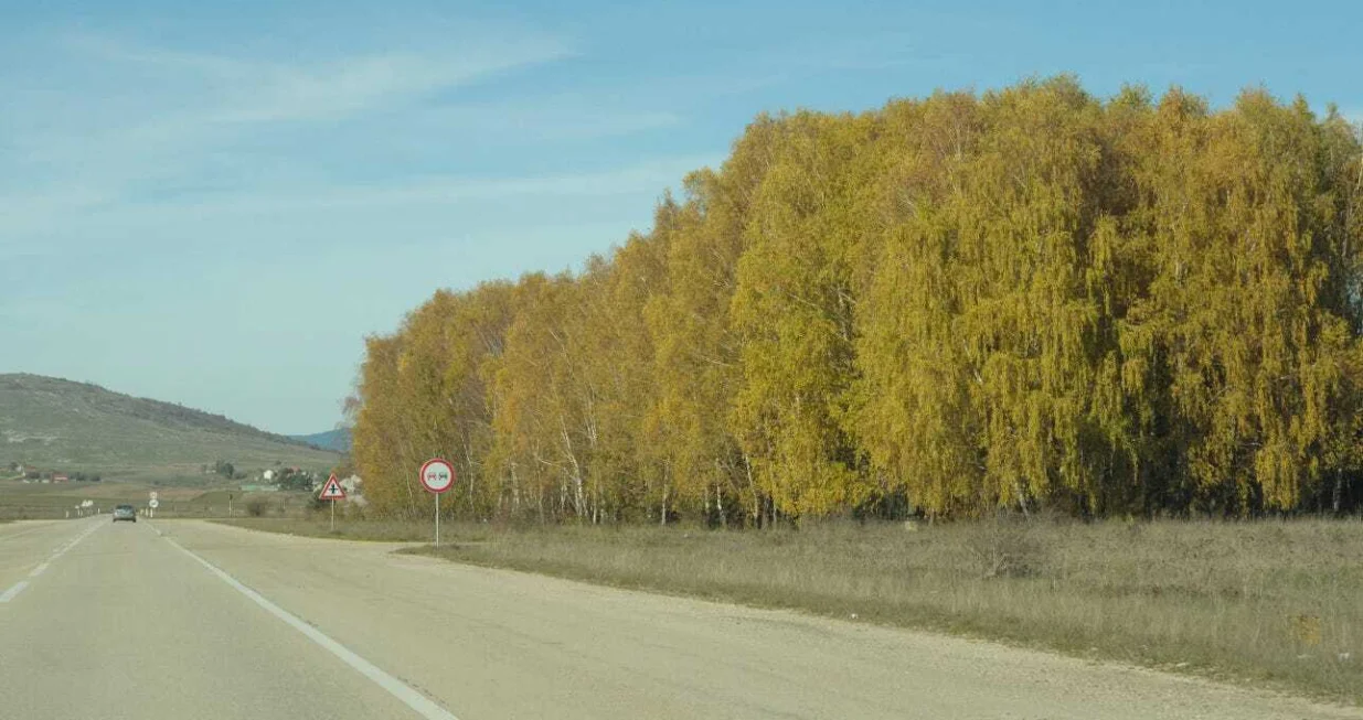 Cesta ka Livnu utemeljena jo&scaron; od Rimljana/