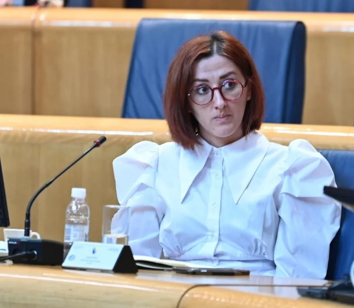 Anisa Mahmutović: Ima li odgovornosti za inspekcije?/