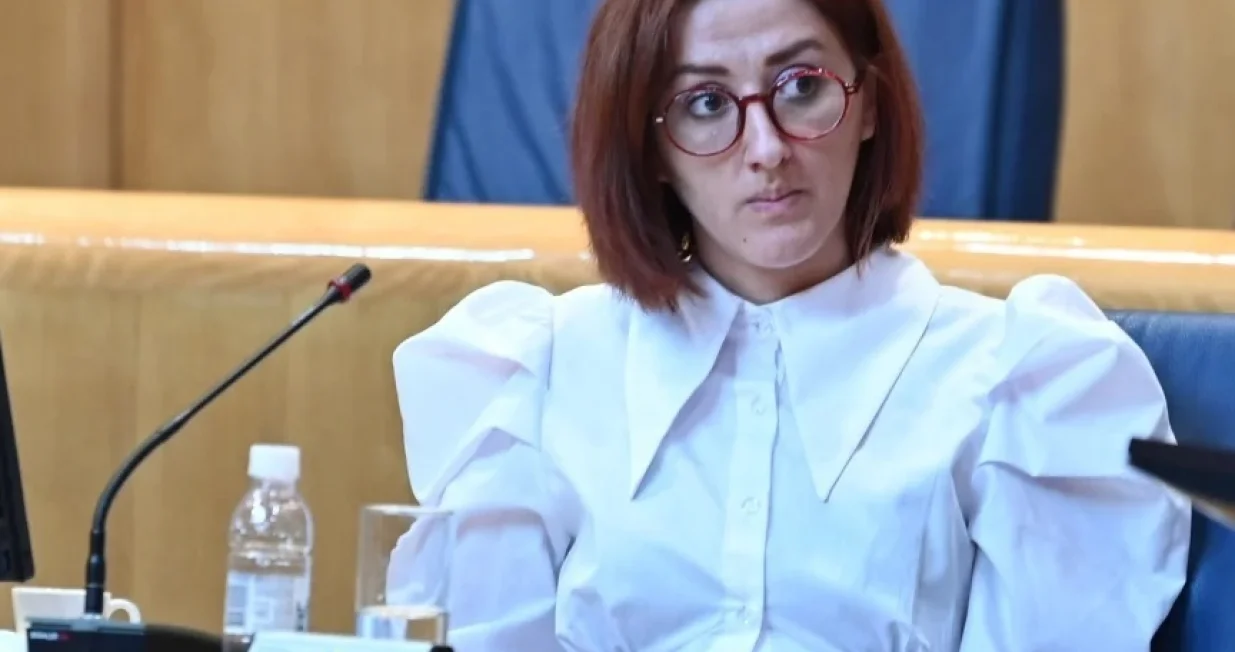 Anisa Mahmutović: Ima li odgovornosti za inspekcije?/