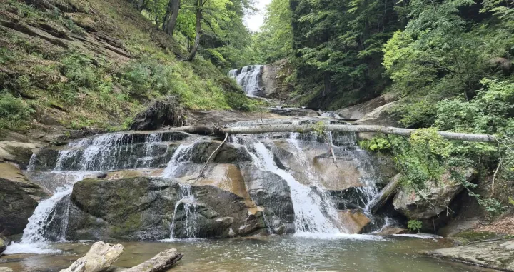 Slapovi Kozice/Tanja Cerić