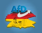 Kolumna Pavle Mijovića/